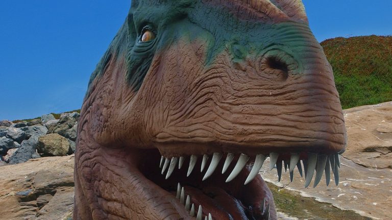 Tyrannosaurus Rex