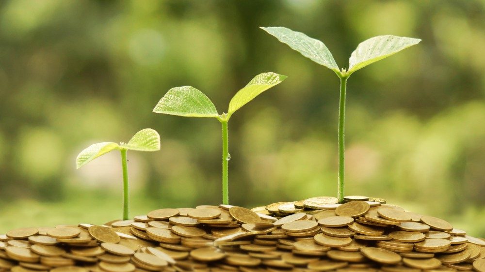 Growing plant shoots on coins