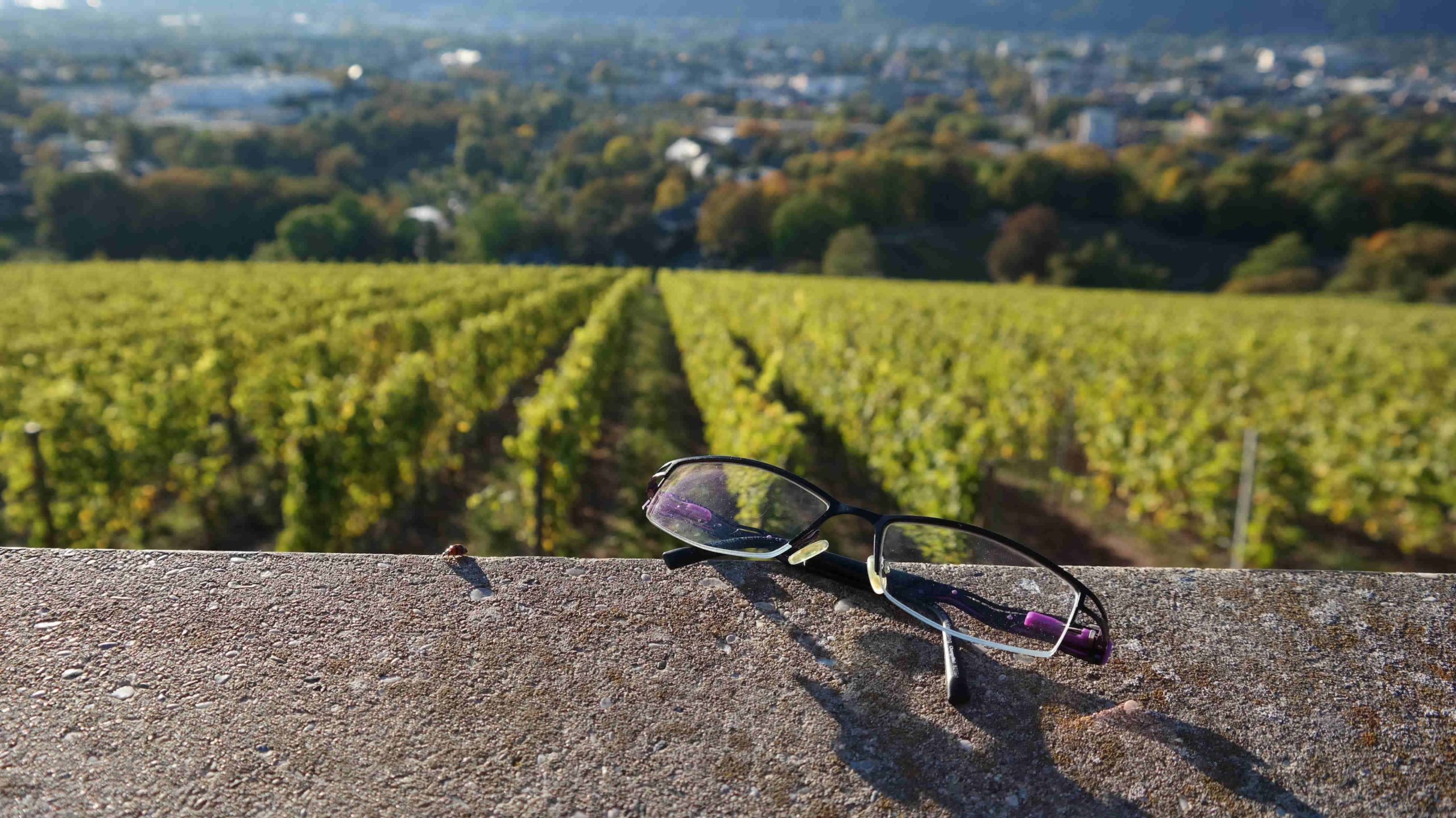Die Brille von Fielmann liegt auf einer Mauer im Weinberg.