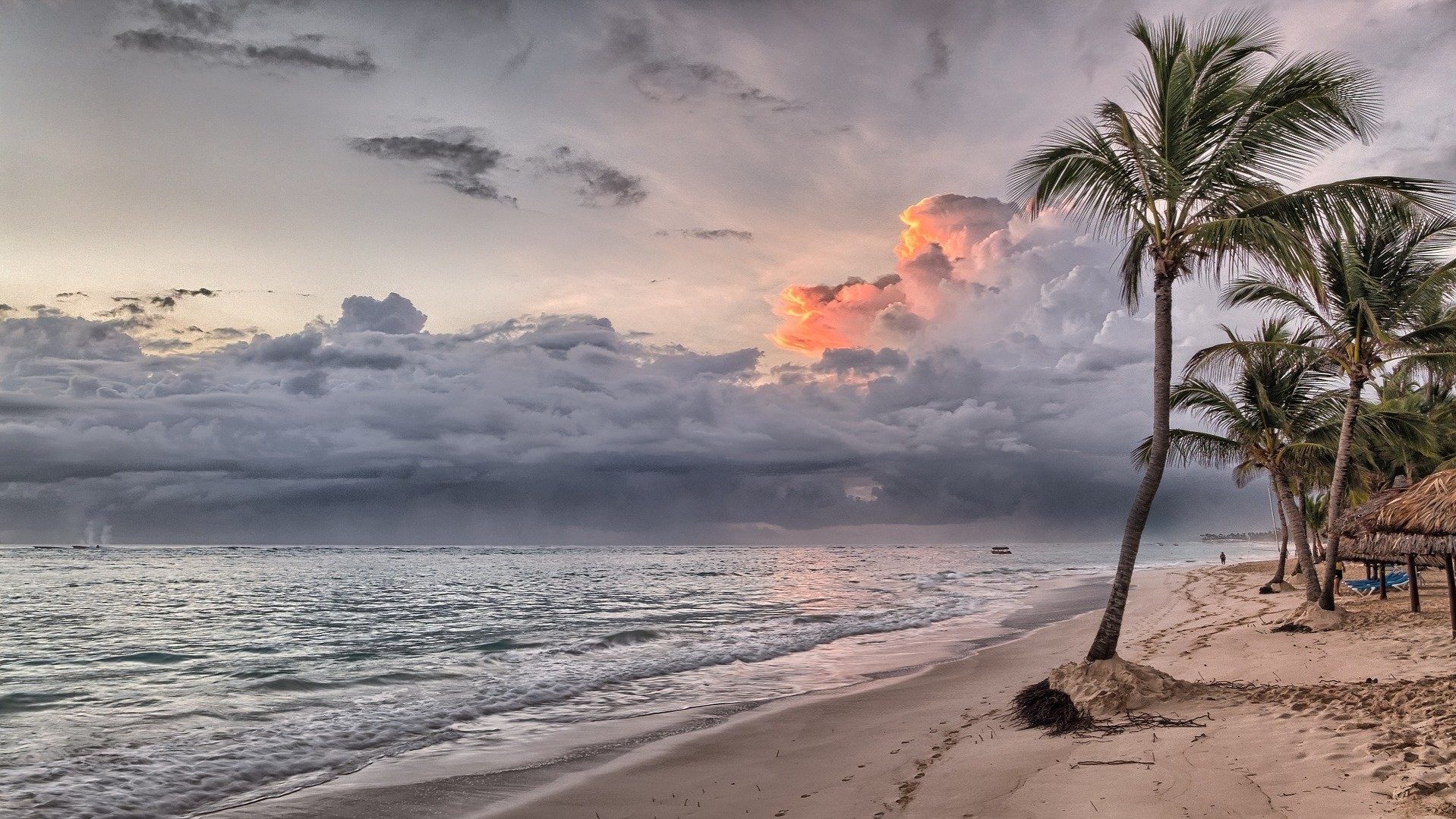 Ein Sandstrand mit Palmen. Im Hintergrund sieht man Gewitterwolken aufziehen.