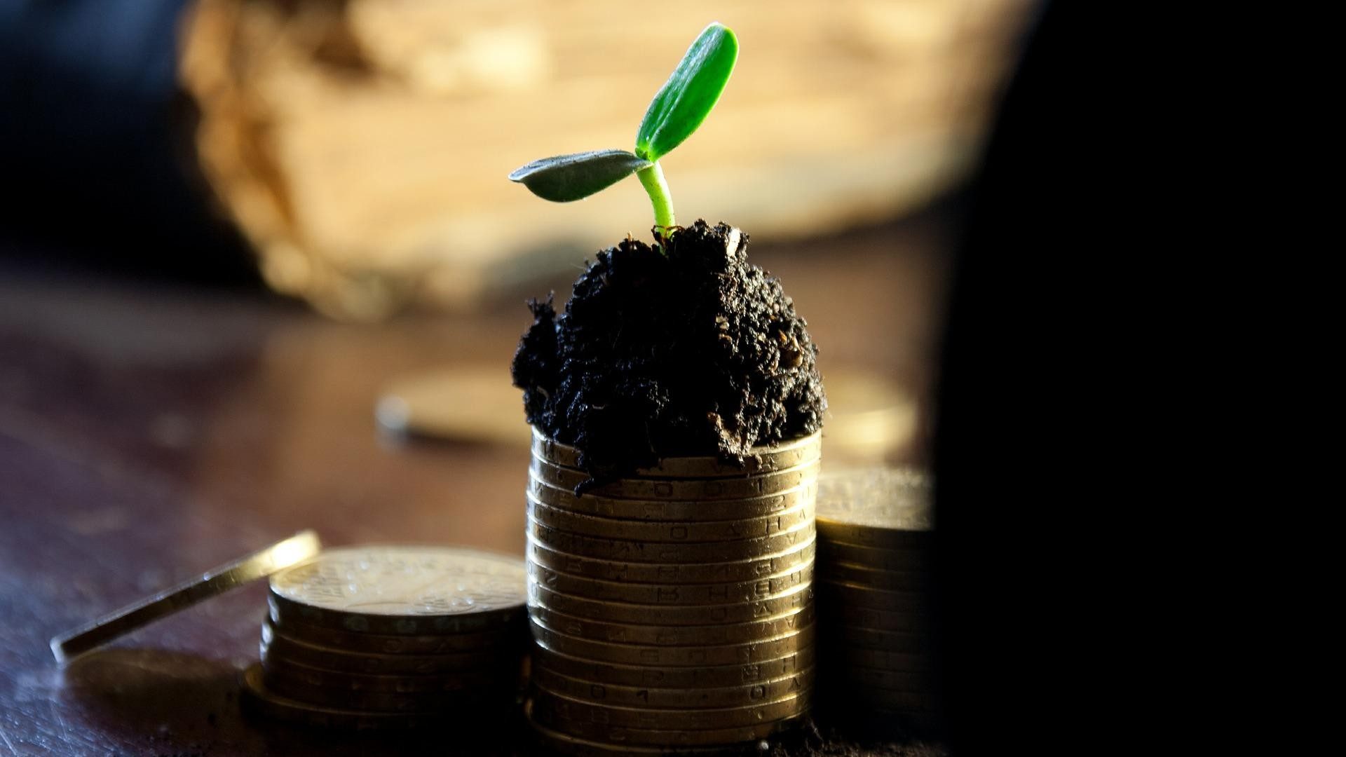 Eine junge Pflanze, die auf Münzen wächst, als Symbol für den Zinseszinseffekt. Foto: Alexsander-777 via Pixabay