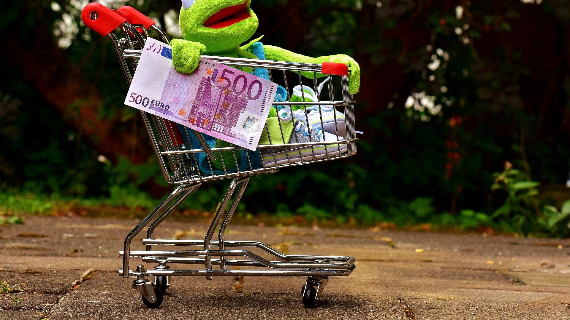 Kermit der Frosch sitzt mit einem 500-Euro-Schein in einem Einkaufswagen