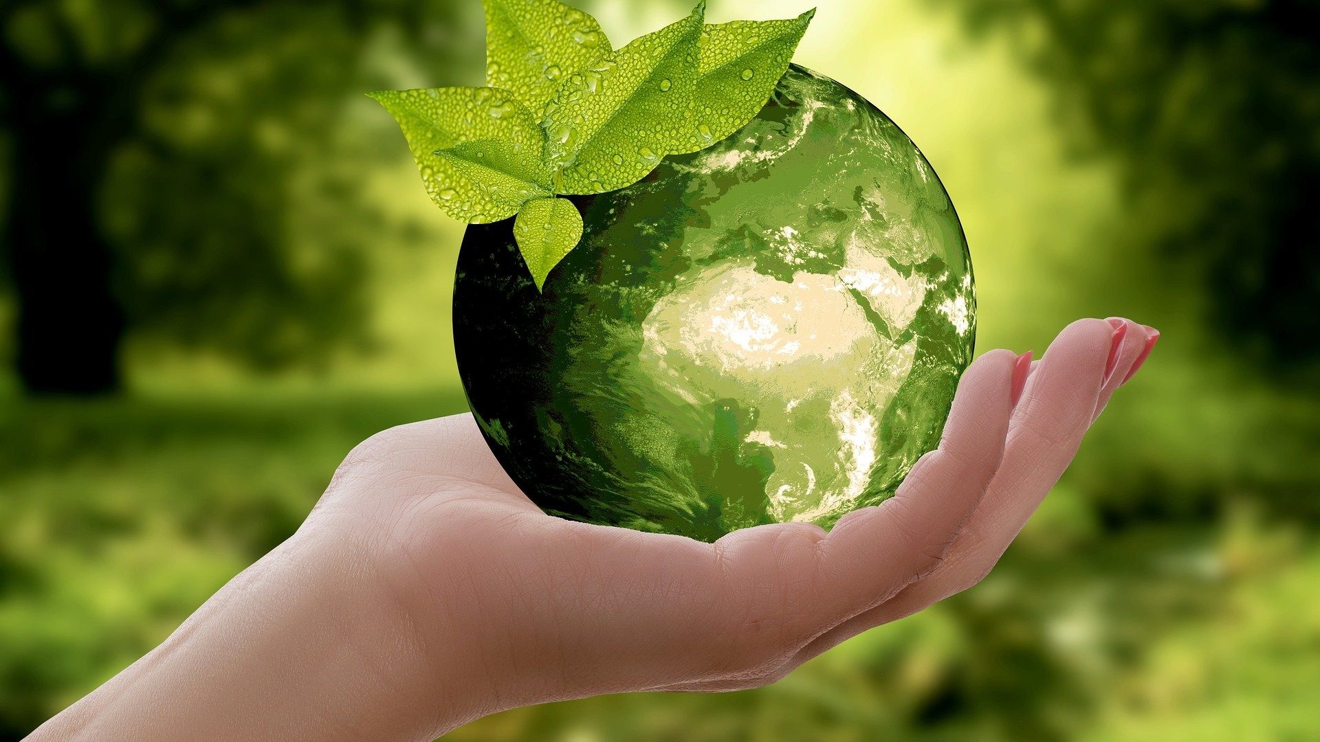 Eine Hand hält eine grün und nachhaltig dargestellte Weltkugel inmitten von Pflanzen