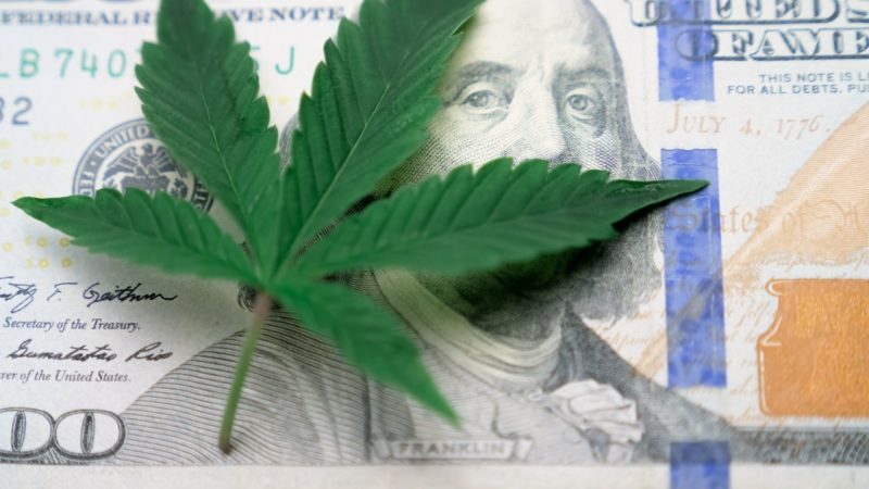 Ein Dollar-Geldschein wird teilweise bedeckt vom Blatt einer Cannabispflanze