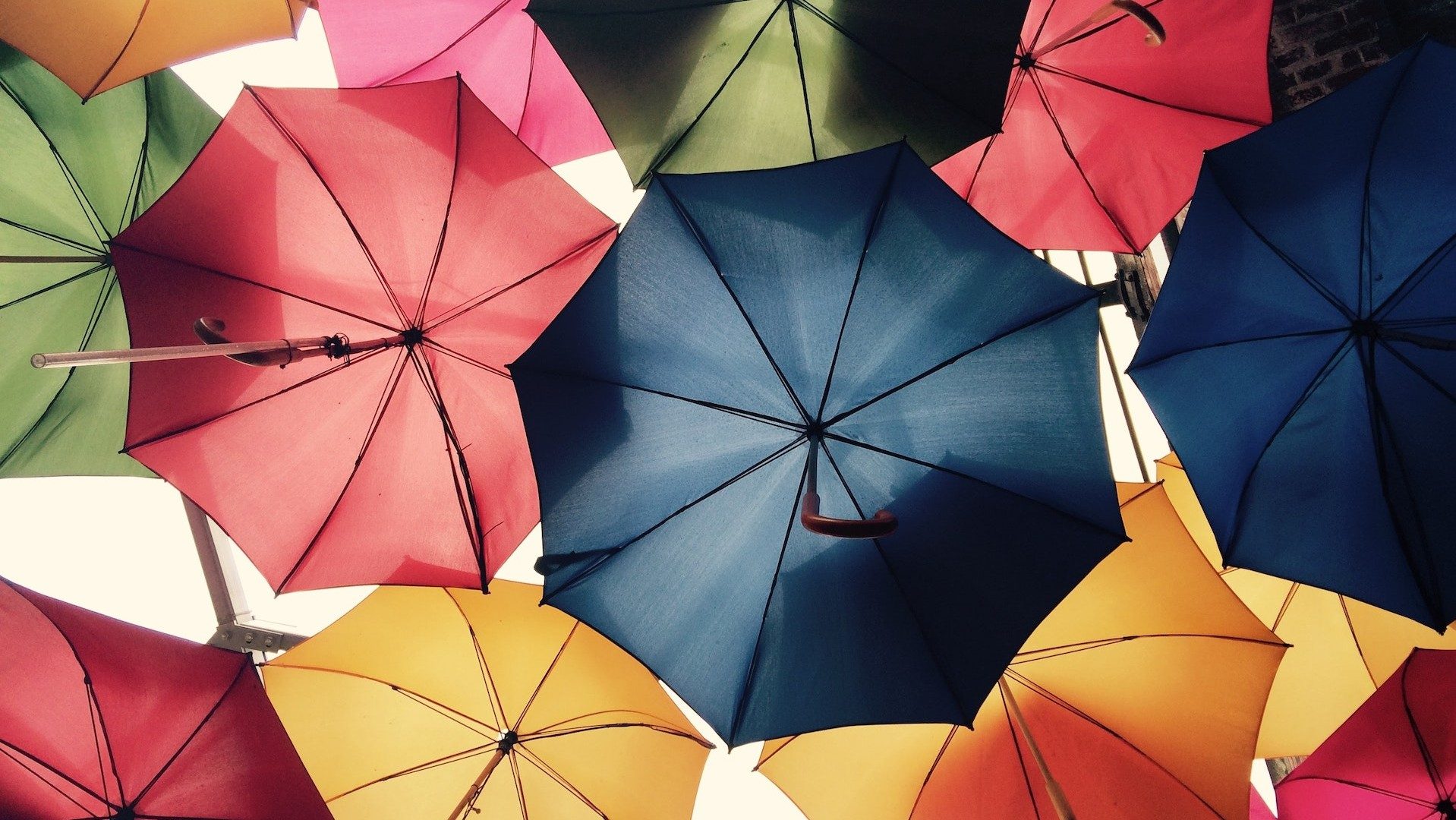Bunte Regenschirme in einer Ansicht von unten