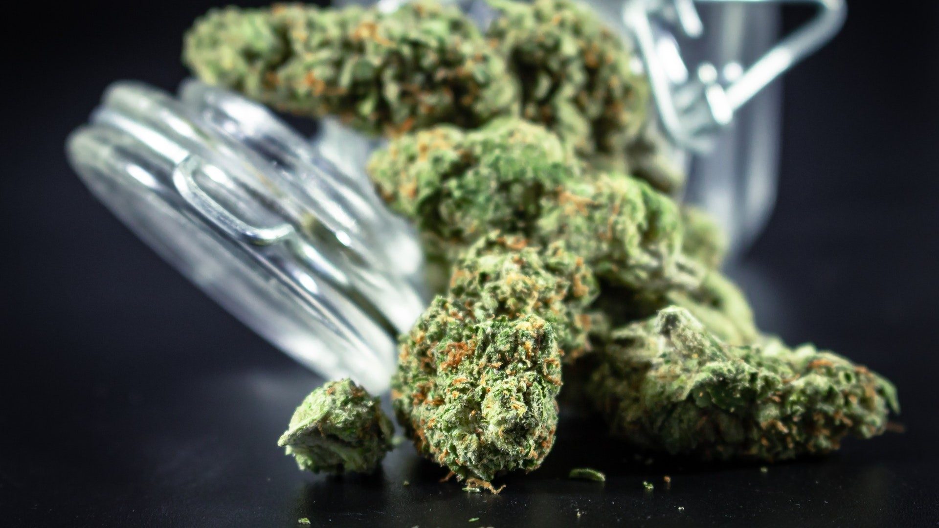 Das Bild zeigt ein Glas aus dem gerade Marihuana rausfällt.