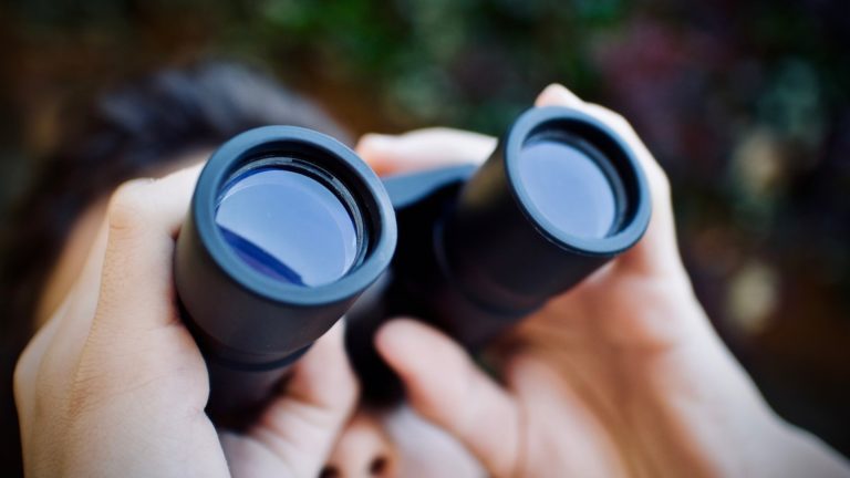 Eine Person schaut mit einem Fernglas den Kursen an der Börse hinterher.