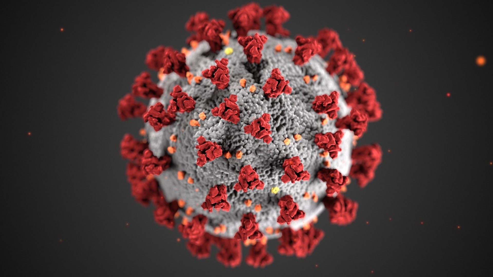 Illustration eines Virus mit Oberflächenstruktur inklusive Spike-Proteinen
