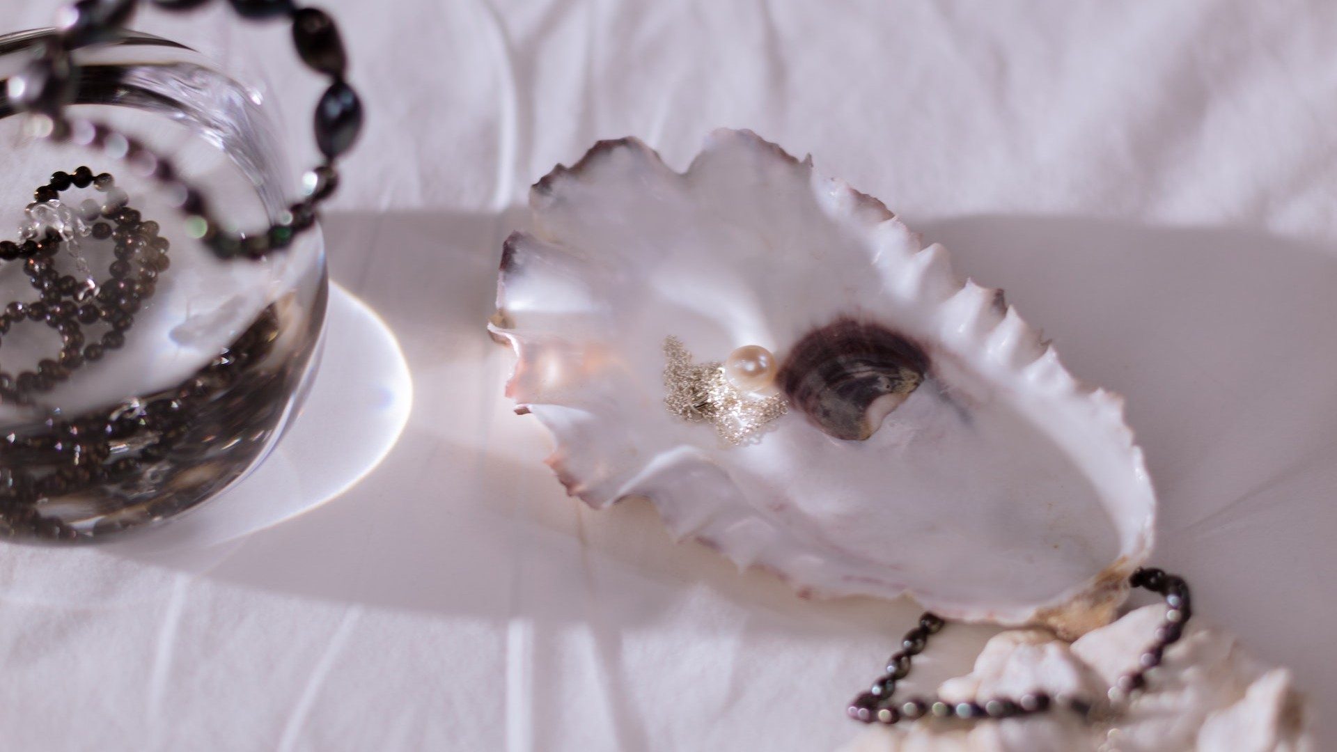 Eine Perle in einer Muschel, daneben diverser Schmuck