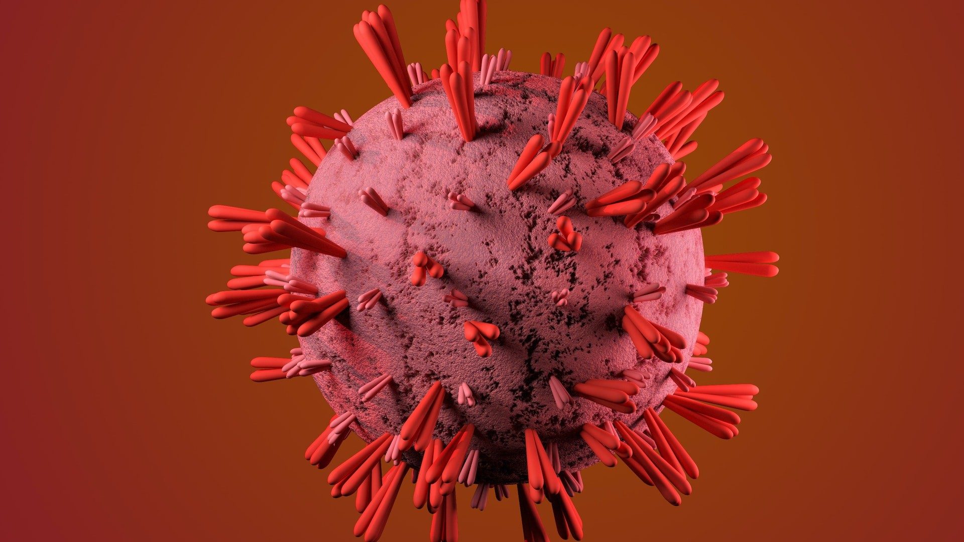 Illustration eines roten Virus, auch die Spike-Proteine sind zu sehen