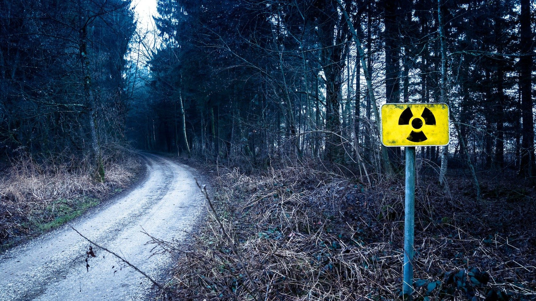 Warnung vor Gefahr durch radioaktive Strahlung auf einem gelben Schild im Wald