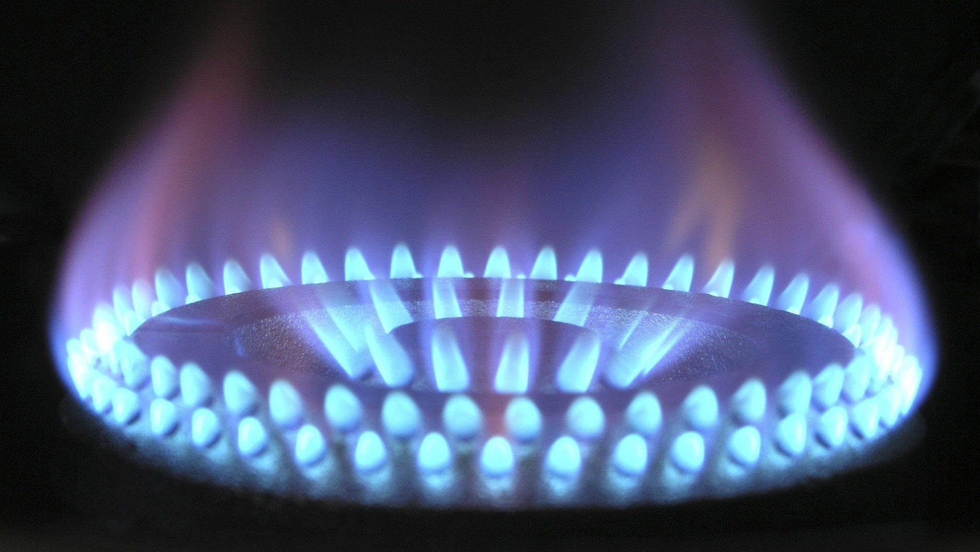 Ein Gasherd verbrennt Gas mit einer heißen blauen Flamme