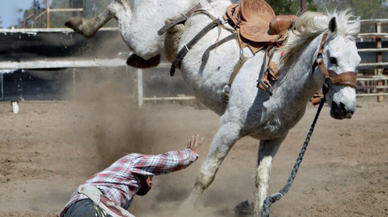 Ein Reiter fällt von einem bockigen Pferd