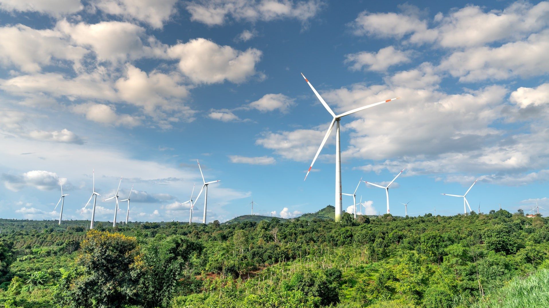 Windräder erzeugen grünen Strom aus erneuerbaren Energiequellen
