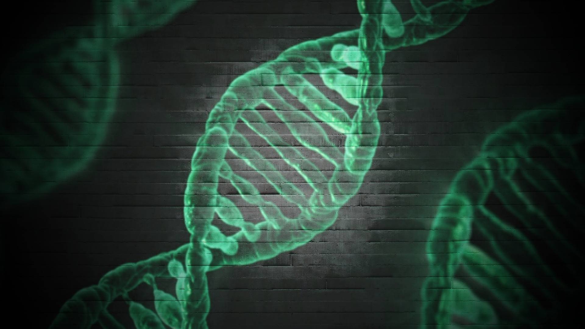 Illustration eines DNA-Strangs auf einer grauen Mauer