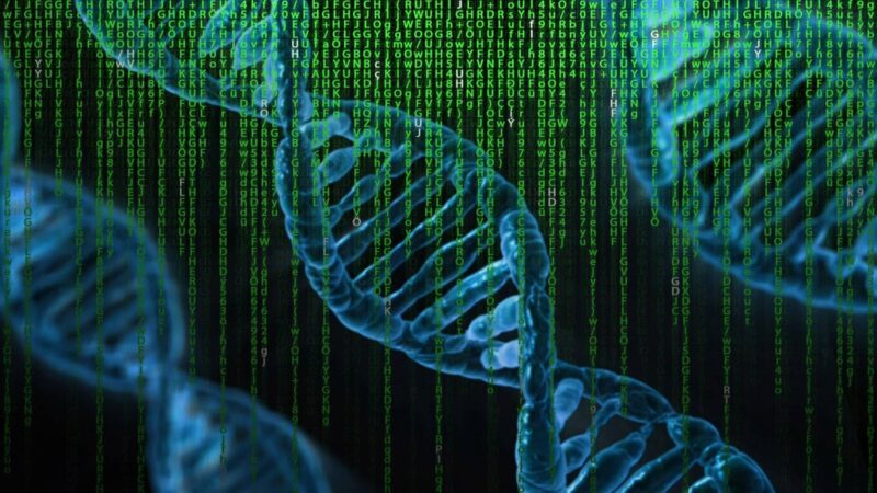 Illustration eines DNA-Strangs mit grünem Code im Vordergrund