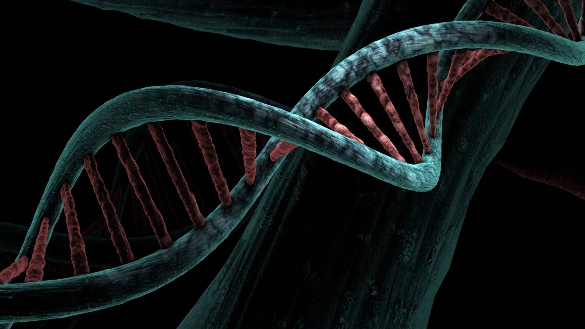 Illustration eines DNA-Strangs