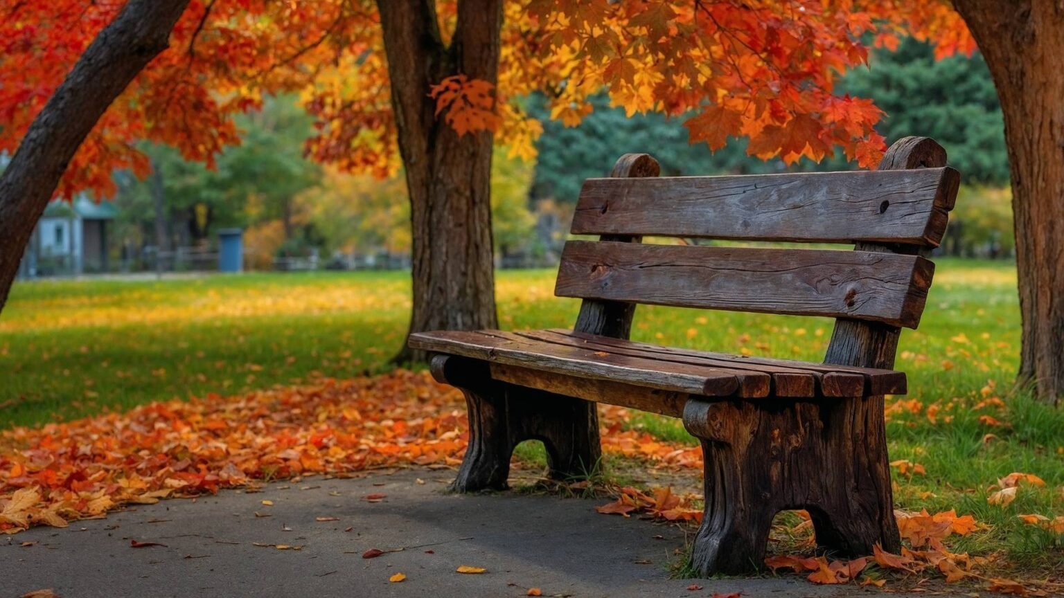 Eine Parkbank mit orangerotem, herbstlichem Laub