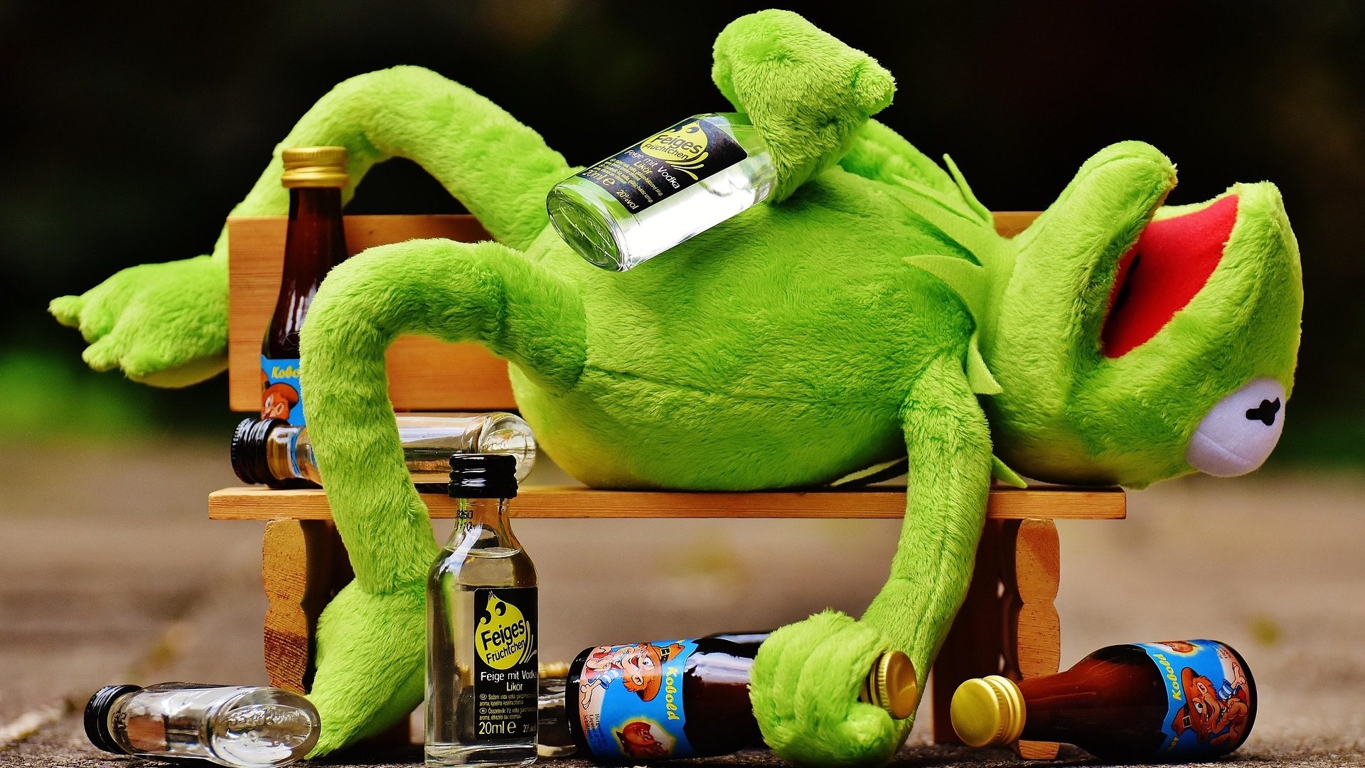 Kermit der Frosch liegt, umringt von Schnapsflaschen, betrunken auf einer Bank