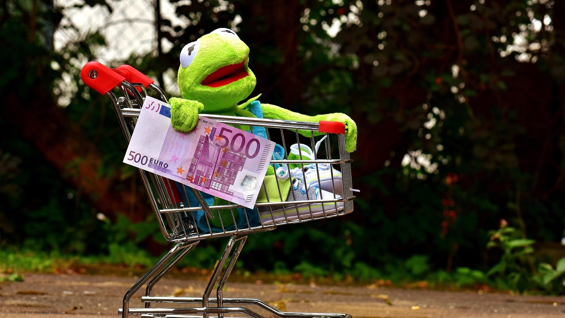 Kermit der Frosch sitzt mit einem 500-Euro-Schein in einem Einkaufswagen