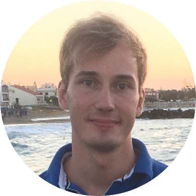 Hendrik Vanheiden, Analyst